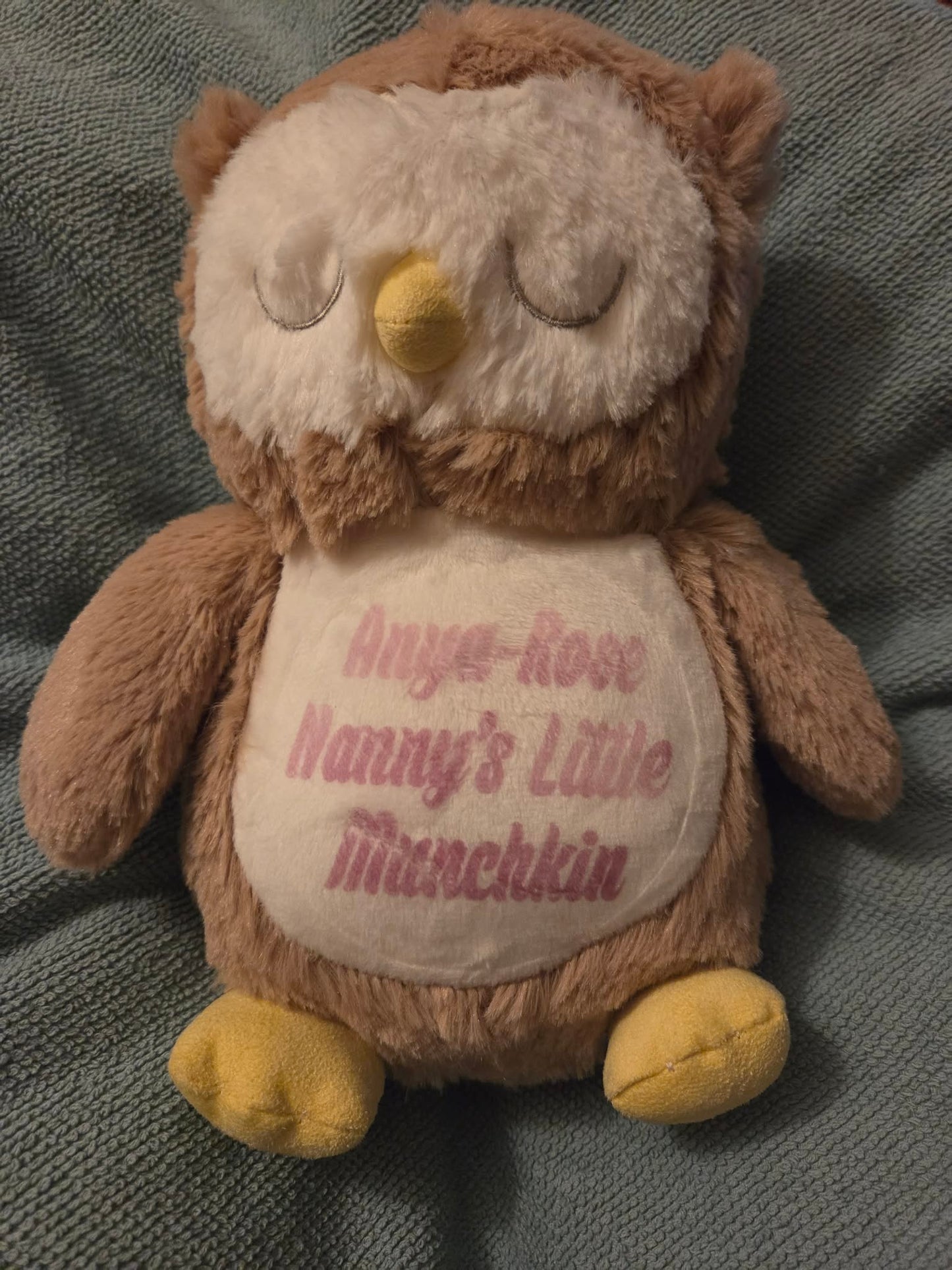 Personalised Sleepy Owl Teddy